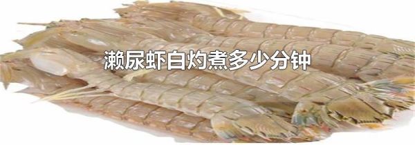 濑尿虾白灼煮多少分钟