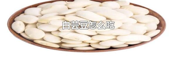 白芸豆怎么吃