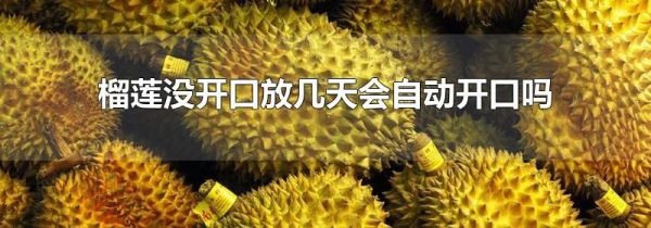榴莲没开口放几天会自动开口吗