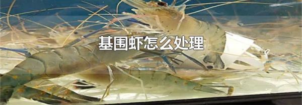 基围虾怎么处理