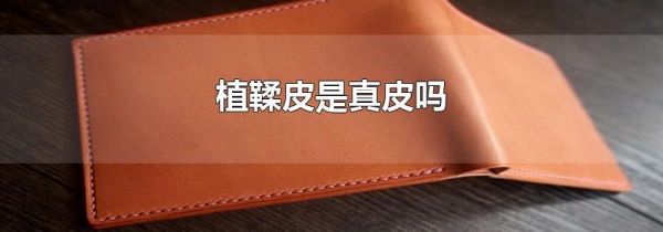 植鞣皮是真皮吗