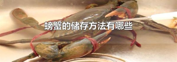 螃蟹的储存方法有哪些