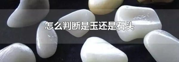 怎么判断是玉还是石头