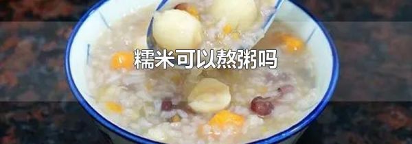 糯米可以熬粥吗