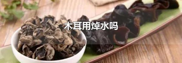木耳用焯水吗