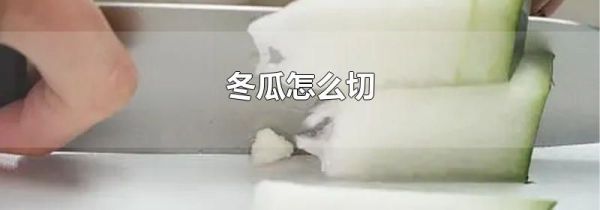 冬瓜怎么切