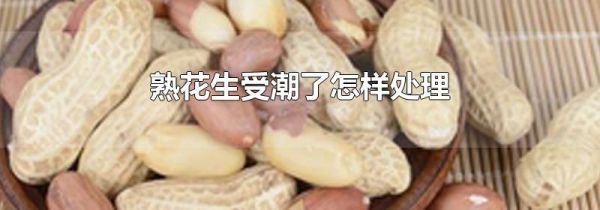 熟花生受潮了怎样处理