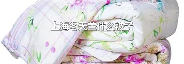 上海冬天盖什么被子