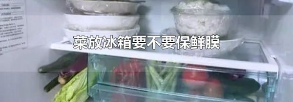 菜放冰箱要不要保鲜膜