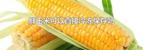 鲜玉米可以直接冷冻保存吗