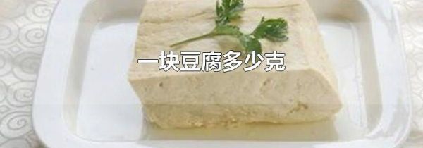 一块豆腐多少克