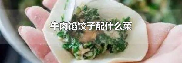 牛肉馅饺子配什么菜