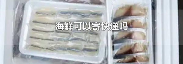 海鲜可以寄快递吗