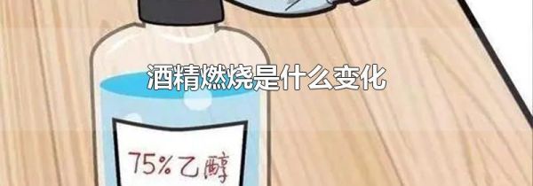 酒精燃烧是什么变化
