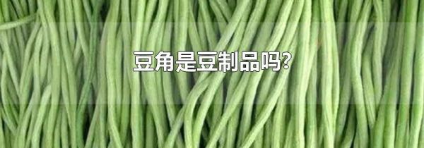 豆角是豆制品吗?