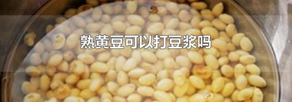 熟黄豆可以打豆浆吗