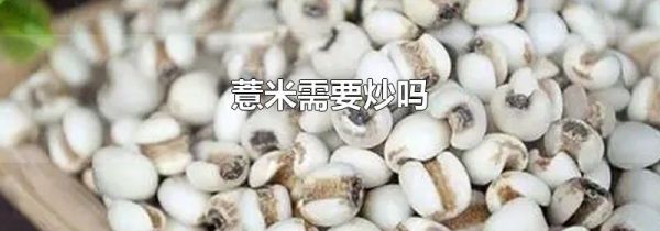 薏米需要炒吗