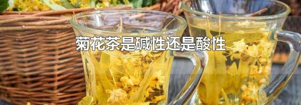 菊花茶是碱性还是酸性