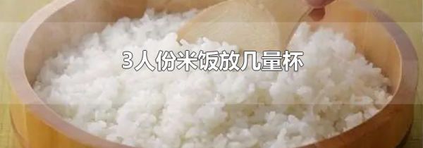 3人份米饭放几量杯
