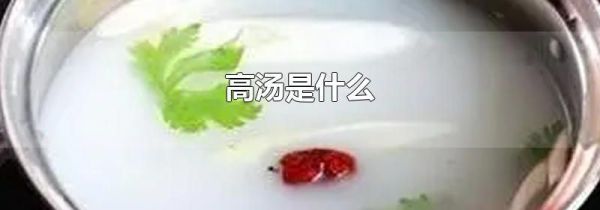 高汤是什么