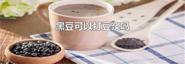 黑豆可以打豆浆吗