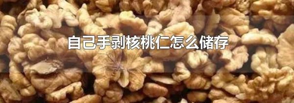 自己手剥核桃仁怎么储存
