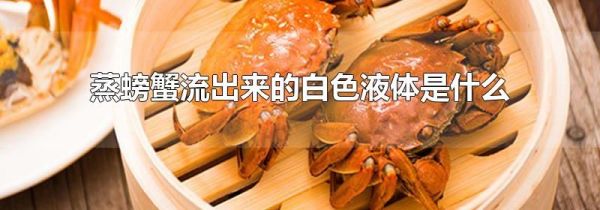 蒸螃蟹流出来的白色液体是什么