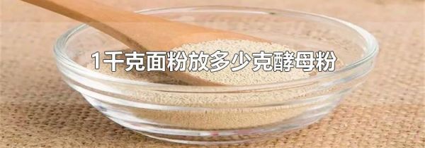 1千克面粉放多少克酵母粉