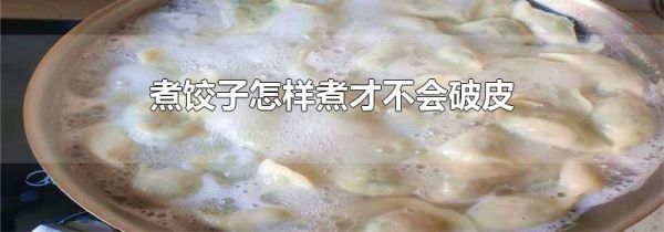 煮饺子怎样煮才不会破皮
