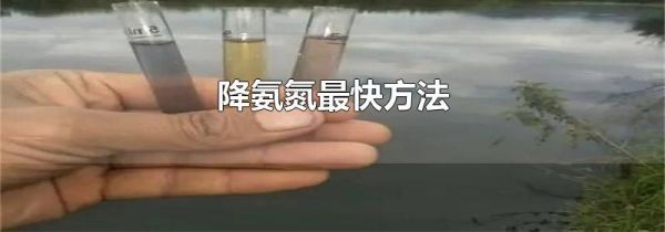 降氨氮最快方法