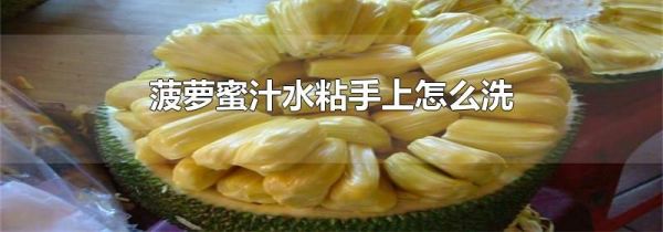 菠萝蜜汁水粘手上怎么洗