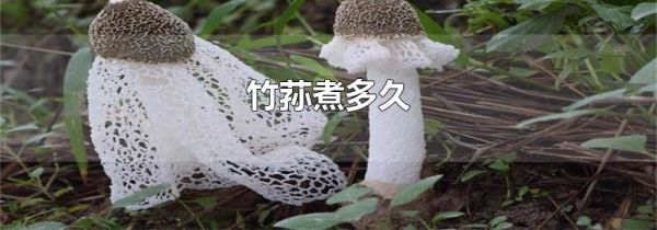 竹荪煮多久