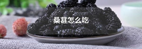 桑葚怎么吃