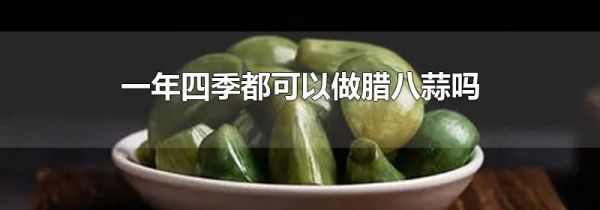 一年四季都可以做腊八蒜吗