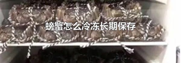 螃蟹怎么冷冻长期保存