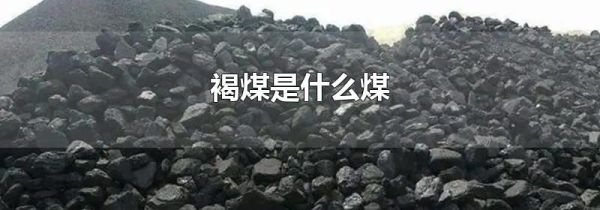 褐煤是什么煤