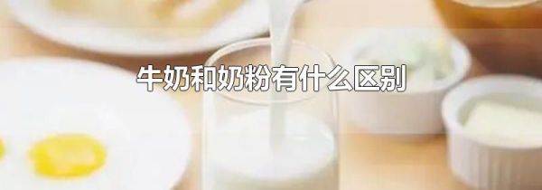 牛奶和奶粉有什么区别