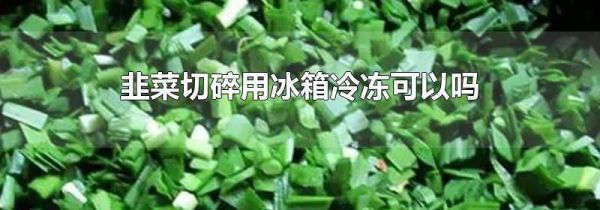 韭菜切碎用冰箱冷冻可以吗