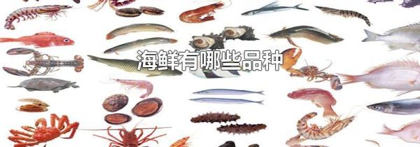 海鲜有哪些品种