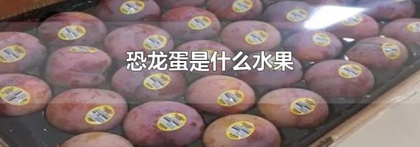 恐龙蛋是什么水果