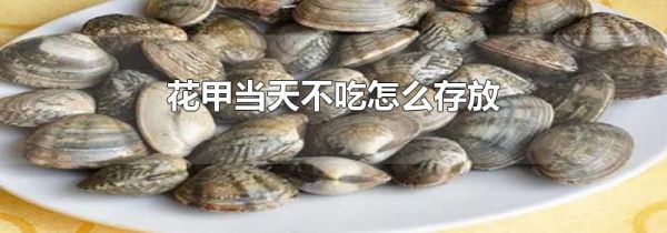 花甲当天不吃怎么存放