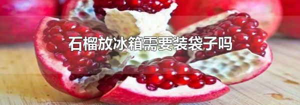 石榴放冰箱需要装袋子吗