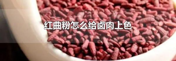 红曲粉怎么给卤肉上色