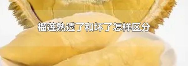榴莲熟透了和坏了怎样区分
