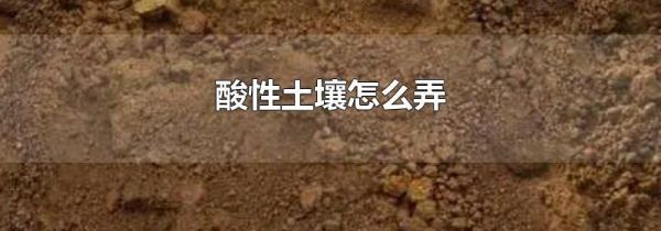 酸性土壤怎么弄