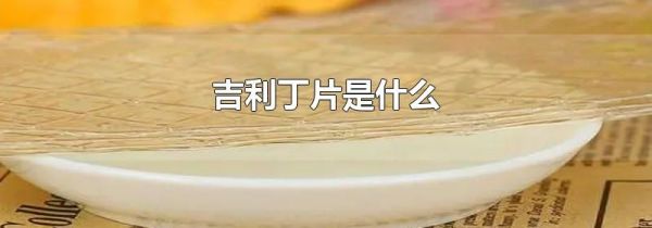 吉利丁片是什么
