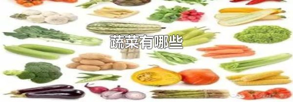 蔬菜有哪些