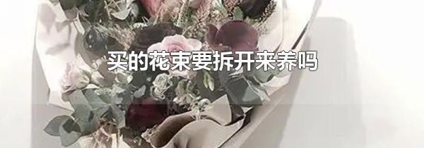 买的花束要拆开来养吗