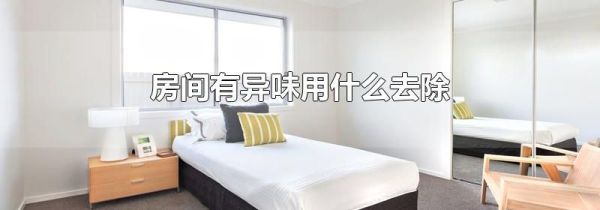 房间有异味用什么去除