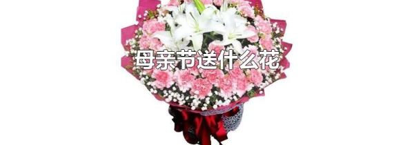 母亲节送什么花